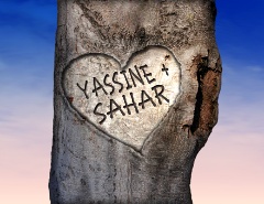 Sans comentaire